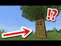 SECRET TREE HOUSE You Will Never Find
