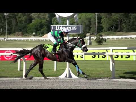 230106 c11 REYSTHEREYS (BRZ)