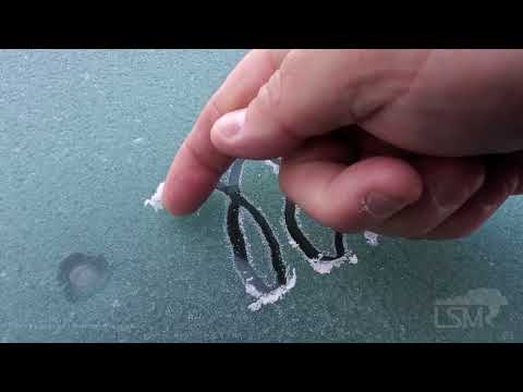 11-05-2021 Muncy, PA - Heavy Frost, Cold Temps and Light Winds Helping Trees To Quickly Drop Leaves