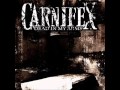 Carnifex full album 