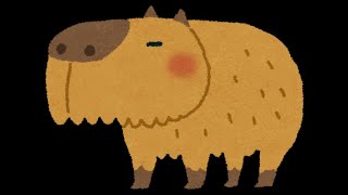 カピバラの帰宅