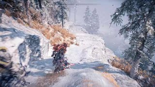 Horizon Forbidden West_😁Eloy The Sk8ter