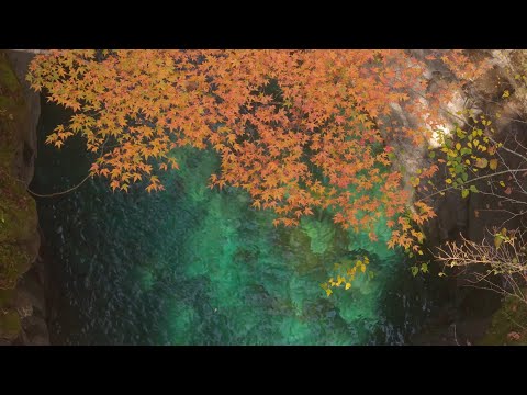 【高知県　仁淀川エリアPR動画】秋冬みどころ編