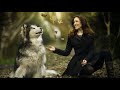 Marshall Styler. One Day in One Heart  (HD 1440)