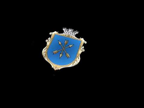 Led эмблема универсальна для грузовика, Герб города "Хмельницкий" - фото 1 - id-p2873047995