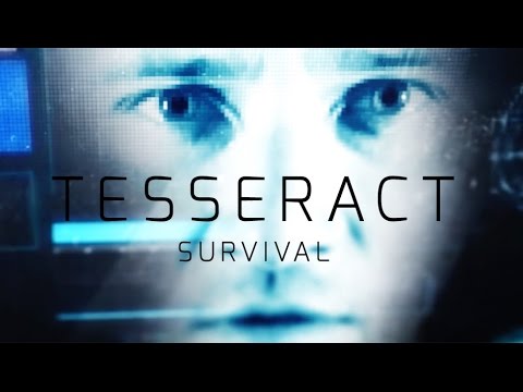 Video Tesseract