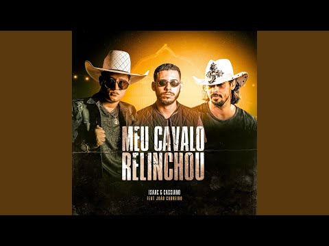 Meu Cavalo Relinchou