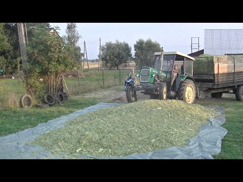 Koślawe i szpotawe masaż plac Koślawe zniekształcenie typów operacji kolana