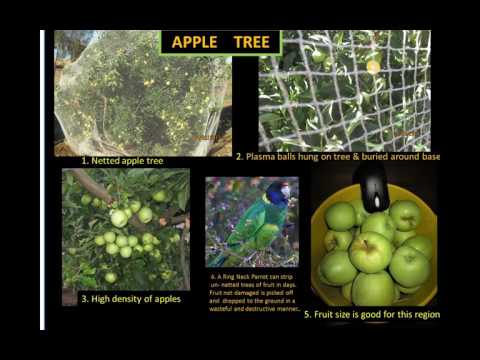 2017 03 26 AM Public Teaching for Gardeners and Growers in English