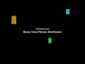 Buena Vista Pictures Distribution Walt Disney Pictures Pixar Animation Studios 2001