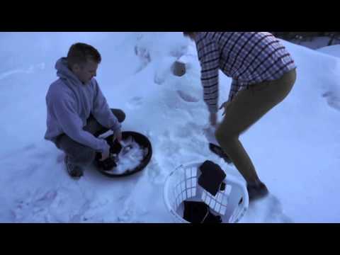 LABA IN THE SNOW - HEY JOE SHOW