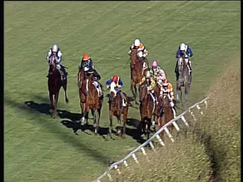 Galoppo 12/03/2019 - 3ª corsa