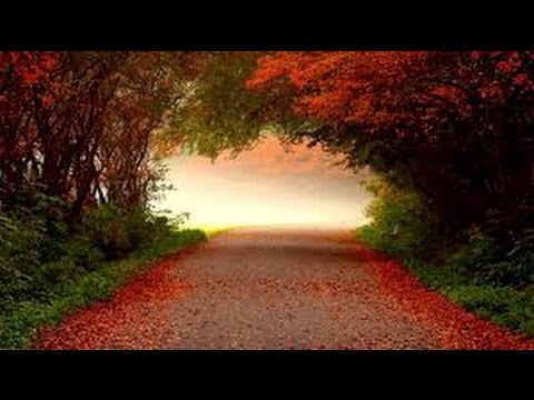 Ansambel Bitenc-Najine poti