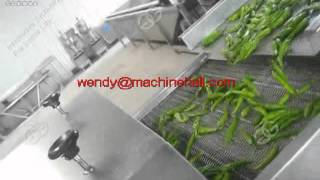 vegetable washing vibrate dewater machine|pepper washing and air drying machine