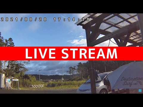 気仙沼市本吉町 かぶとむしのライブカメラ映像