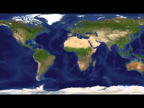 FLOCCA D ft LIL OSO - WHAT YOU NEED