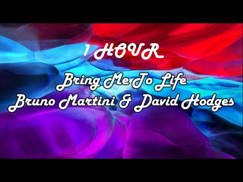 *1 HOUR LOOP* Bring Me To Life - Bruno Martini & David Hodges (Lyrics)