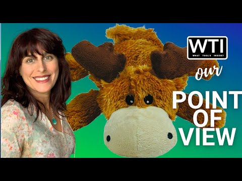 KONG Cozies Dog Squeaky Toy - WTI product video review