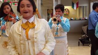 VOLVER VOLVER MARIACHI LAS AZTECAS