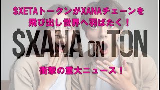 【重大ニュース】「新生XANA」TONチェーン移行で期待大！FIRE億り人を目指せ！