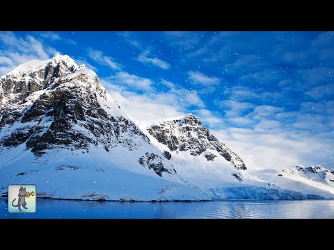 3 HOURS of Beautiful Winter Scenes ~ Amazing Nature Scenery & The Best Relax Music