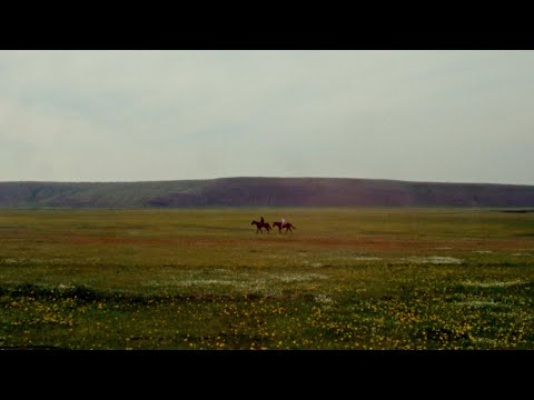 COLD SUMMER - 16mm short film