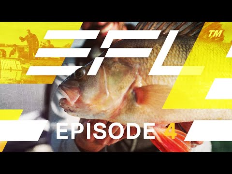European Fishing League 2022 - Episode 4