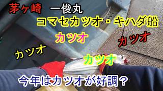 茅ヶ崎一俊丸　コマセカツオ・キハダ釣り