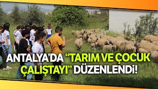 Antalya’da Çocuklara Uygulamalı Tarım ve Hayvancılık Eğitimi