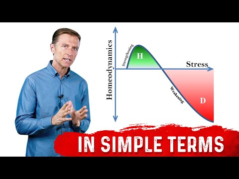 What Is Hormesis & How It Works? – Dr.Berg