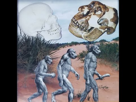 The Origin of Humans - Mike Riddle