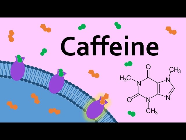 Video Pronunciation of adenosine in English