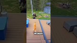 This dog saves his owner at the last moment🥺❤️#shorts