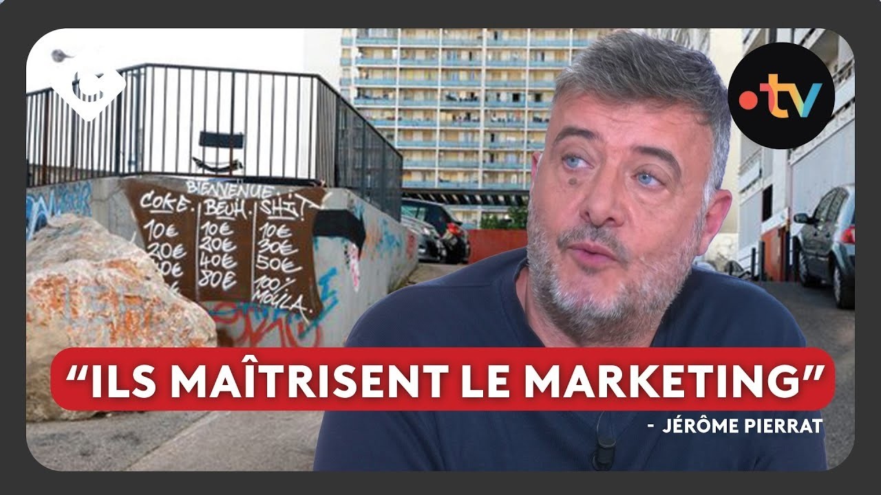 Narcotrafic : la DZ Mafia est-elle si structurée qu’elle le fait croire ?