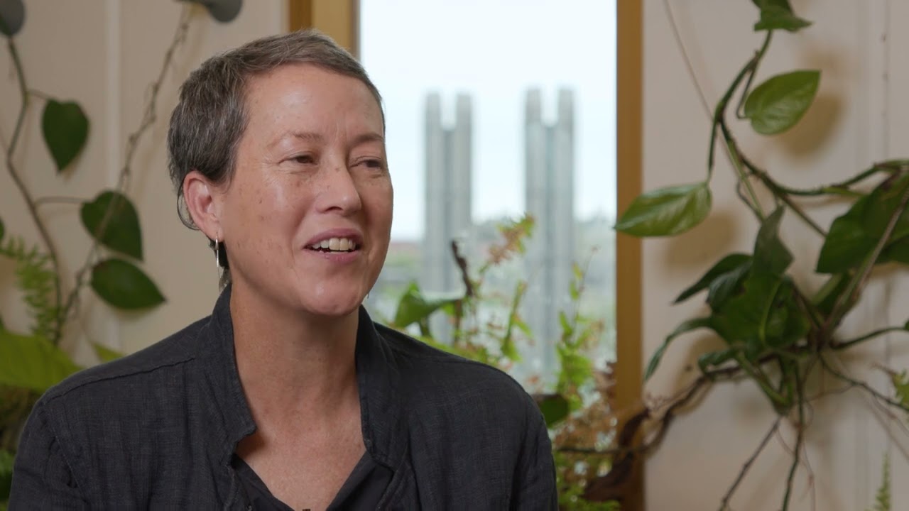 Text And Media Video