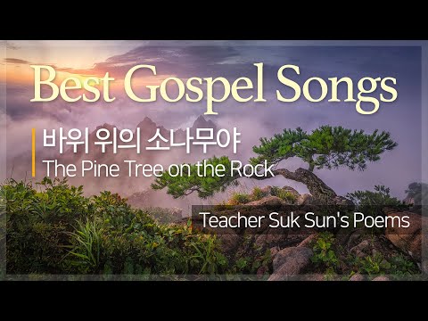 돌나라 신나는 찬양 CCM [석선 시집 | 바위 위의 소나무야 The Pine Tree on the Rock - 이태종] 가스펠 Praise