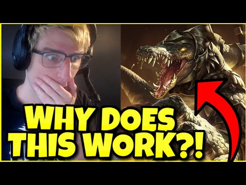 Wait... is RENEKTON a SUPPORT?!? - (League of Legends)