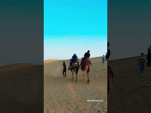 MY CAMEL RIDE IN THE UAE DESERT 🐫🏜️ #shorts