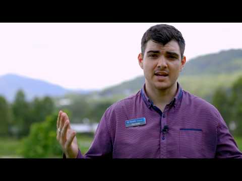 58 Aroona St, Caravonica