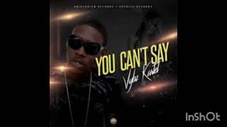 Vybz Kartel - You Can&#39;t Say
