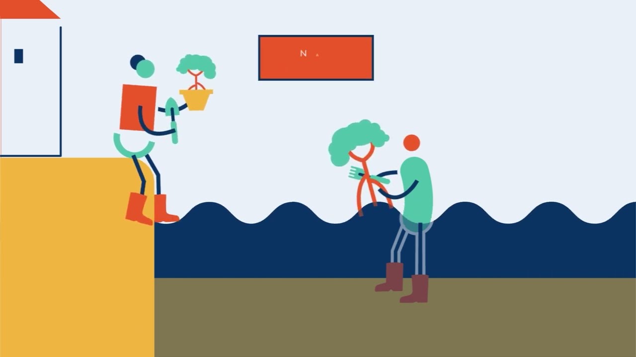 What Is the National Adaptation Plan Process?