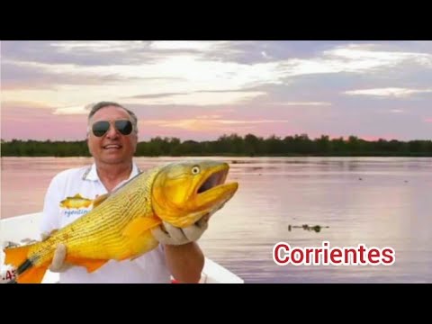 Pesca en Esquina con Posada Hambaré Lodge , y paseo a Carlos Pellegrini e Ituzaingó , Corrientes HD