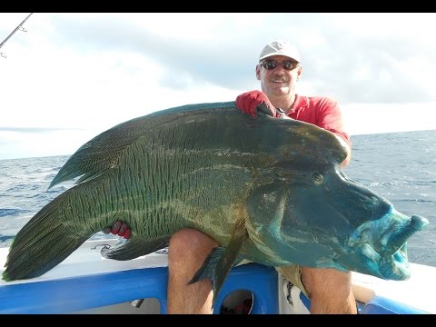 Emeraude Fishing - Popping & Jigging - X-trem - Season 2016