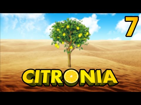 Citronia!  [7] Adidas poník