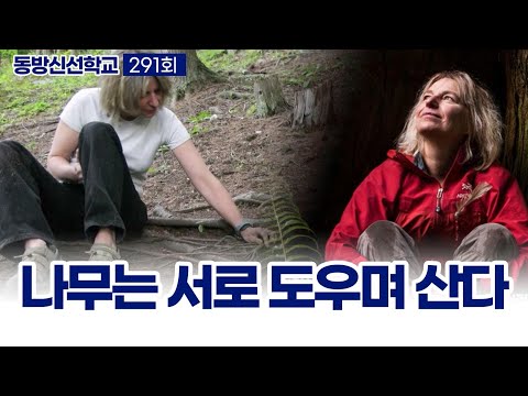 기초(숨) 수행과정