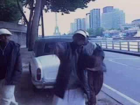 M.A.M - CHIEN ET CHAT