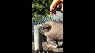 How to stop squirrels from chewing on PVC roof vent pipes