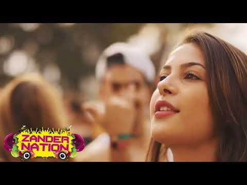 Zander Nation Vs Zombie Nation