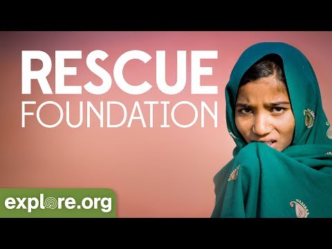 download lagu mp3 mp4 Rescue Foundation Pune Address, download lagu Rescue Foundation Pune Address gratis, unduh video klip Rescue Foundation Pune Address