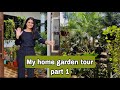 Indian Garden Tour Garden Overview Garden Design In Hindi Garden Tour 2021 Indian Gardens